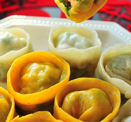 Beef gyoza